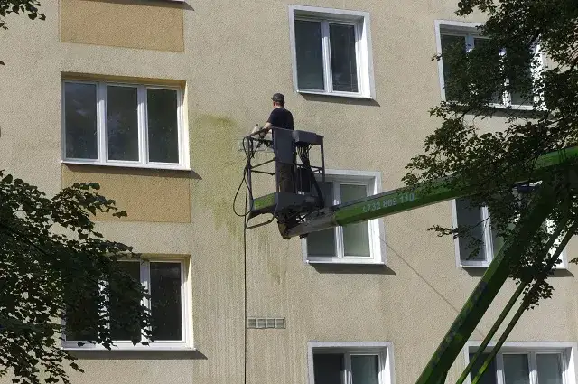 Zdjęcie Skuteczne sposoby na usunięcie mchu z elewacji bez uszkodzeń